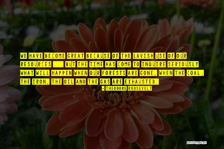 Zivka Davidovica Quotes By Theodore Roosevelt Zivka Davidovica Quotes By Theodore Roosevelt