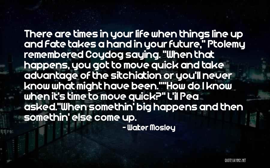 Zivorad Kojic Zica Quotes By Walter Mosley Zivorad Kojic Zica Quotes By Walter Mosley