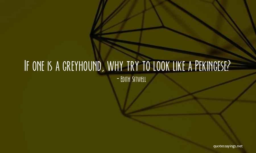 Zivovlak Quotes By Edith Sitwell Zivovlak Quotes By Edith Sitwell