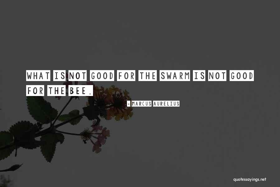 Zizza Insurance Quotes By Marcus Aurelius