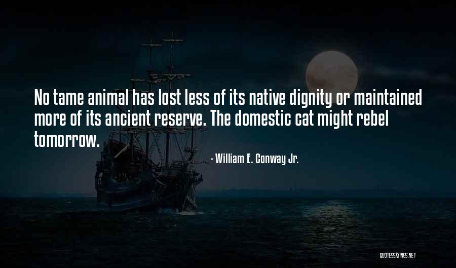 Zizzer Softball Quotes By William E. Conway Jr. Zizzer Softball Quotes By William E. Conway Jr.