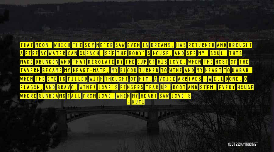 Zjawiska Pogodowe Quotes By Rumi Zjawiska Pogodowe Quotes By Rumi