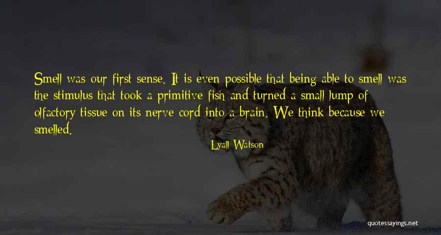 Zkladn Kola Quotes By Lyall Watson Zkladn Kola Quotes By Lyall Watson