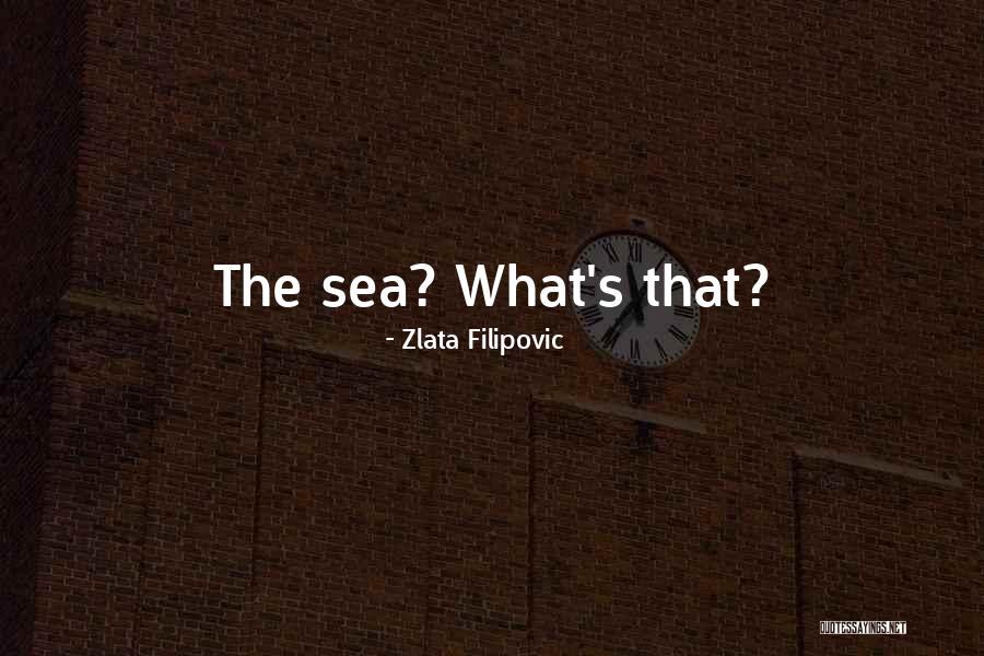 Zlata Quotes By Zlata Filipovic Zlata Quotes By Zlata Filipovic