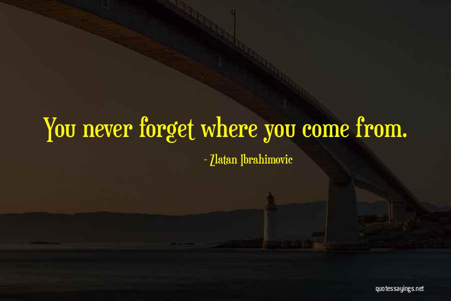 Zlatan Ibrahimovic Quotes 1682860 Zlatan Ibrahimovic Quotes 1682860
