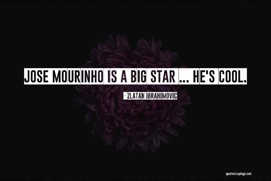 Zlatan Ibrahimovic Quotes 759993 Zlatan Ibrahimovic Quotes 759993