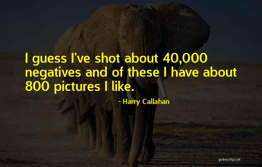 Zlatarsko Quotes By Harry Callahan Zlatarsko Quotes By Harry Callahan