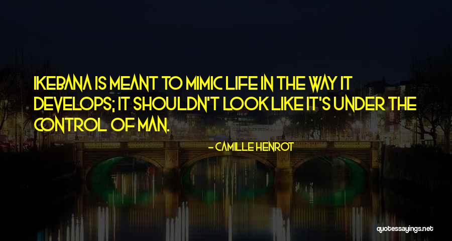 Zlatibor Nekretnine Quotes By Camille Henrot Zlatibor Nekretnine Quotes By Camille Henrot