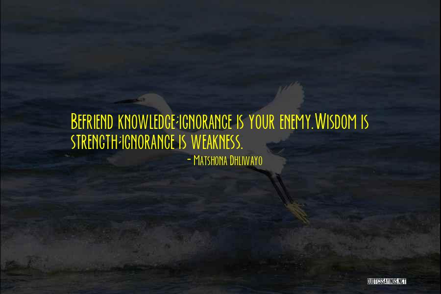 Zlatomir Vasic Quotes By Matshona Dhliwayo Zlatomir Vasic Quotes By Matshona Dhliwayo
