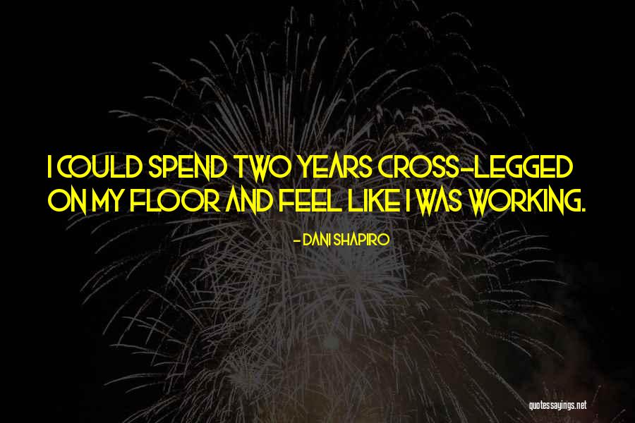 Zmysel Quotes By Dani Shapiro Zmysel Quotes By Dani Shapiro