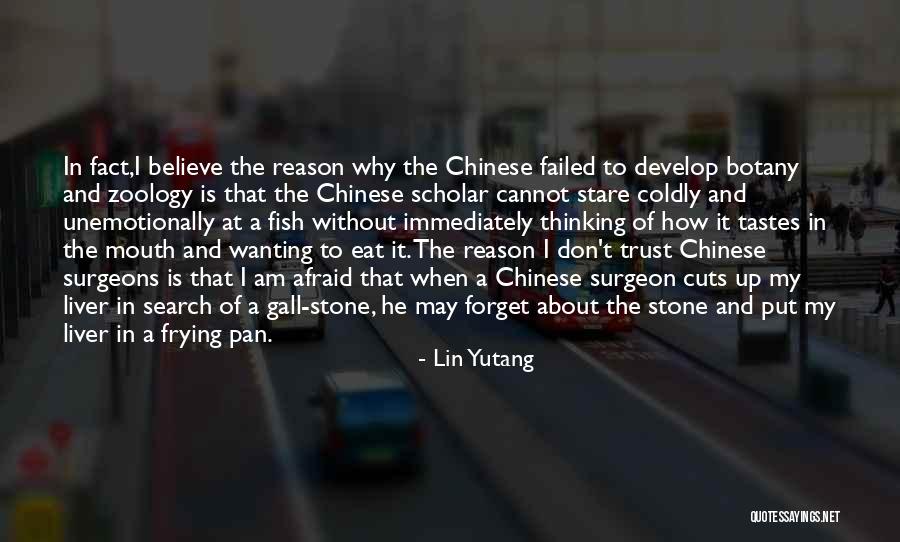 Zn Silnen Kolacka Quotes By Lin Yutang Zn Silnen Kolacka Quotes By Lin Yutang