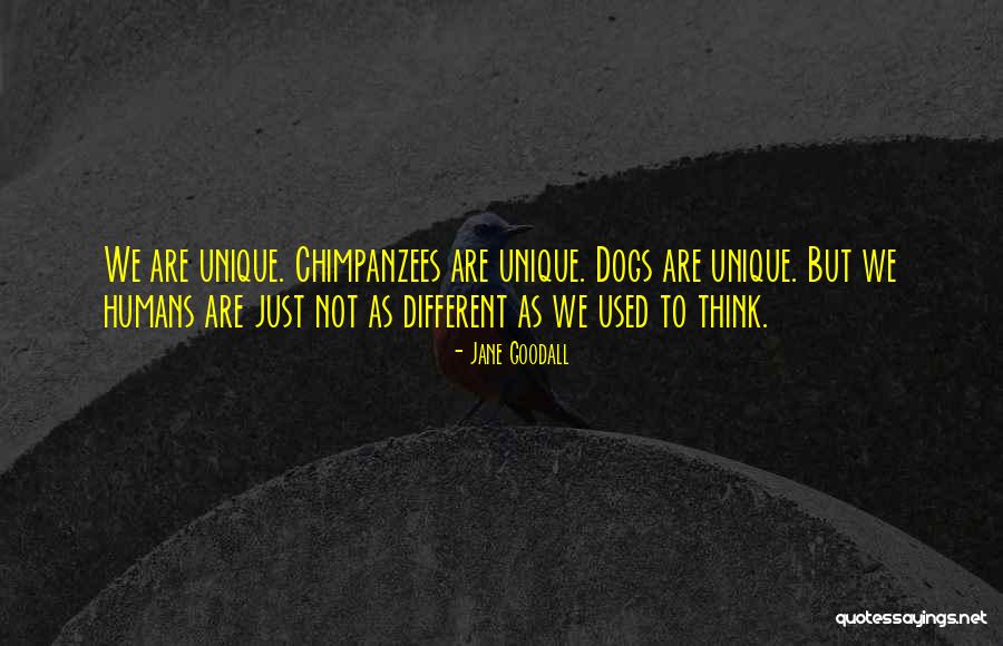 Znanjem Do Cilja Quotes By Jane Goodall Znanjem Do Cilja Quotes By Jane Goodall