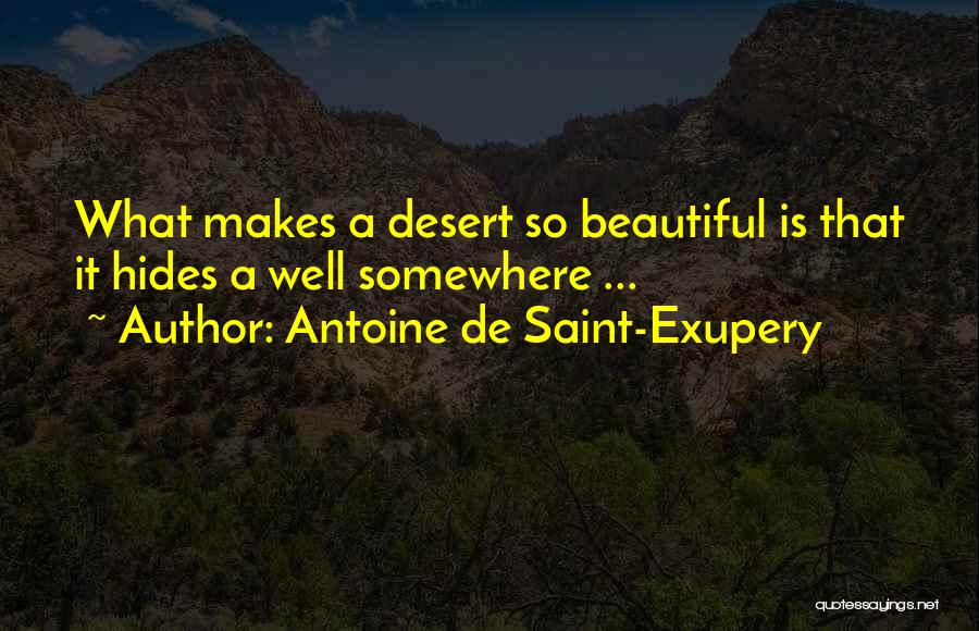 Znikomitno25 Quotes By Antoine De Saint-Exupery