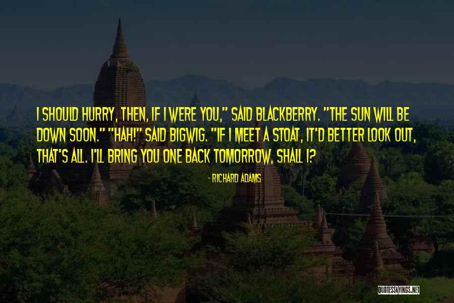 Znk Games Quotes By Richard Adams Znk Games Quotes By Richard Adams