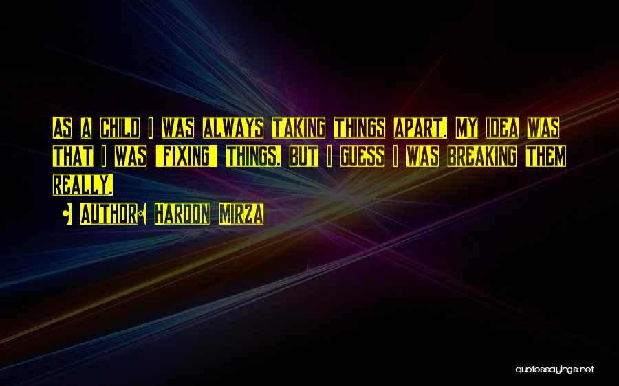 Znmn2o4 Quotes By Haroon Mirza
