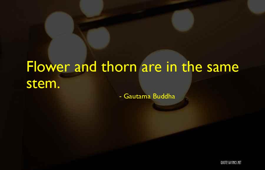 Zodiac Cancers Quotes By Gautama Buddha Zodiac Cancers Quotes By Gautama Buddha