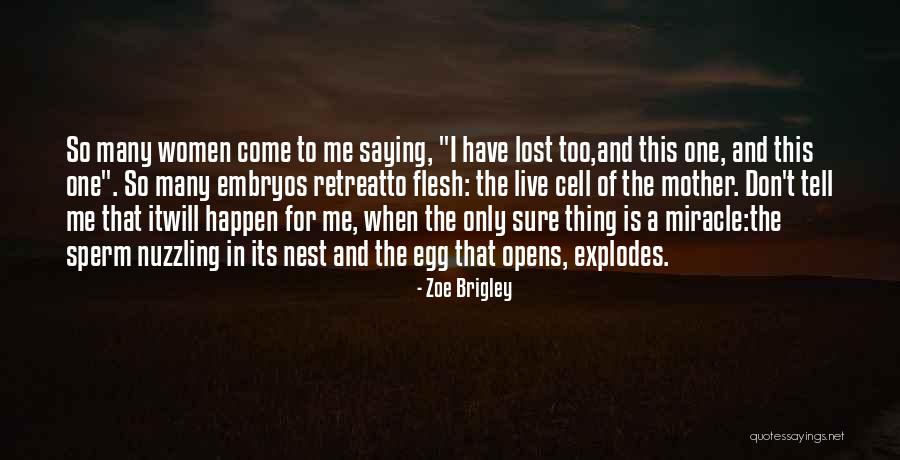 Zoe Brigley Quotes 638553 Zoe Brigley Quotes 638553