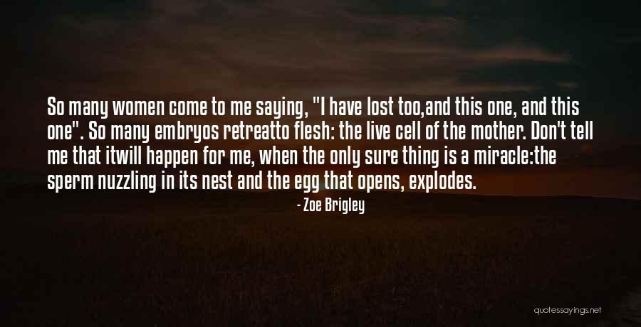 Zoe Brigley Quotes 638553