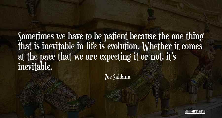 Zoe Saldana Quotes 1428972 Zoe Saldana Quotes 1428972