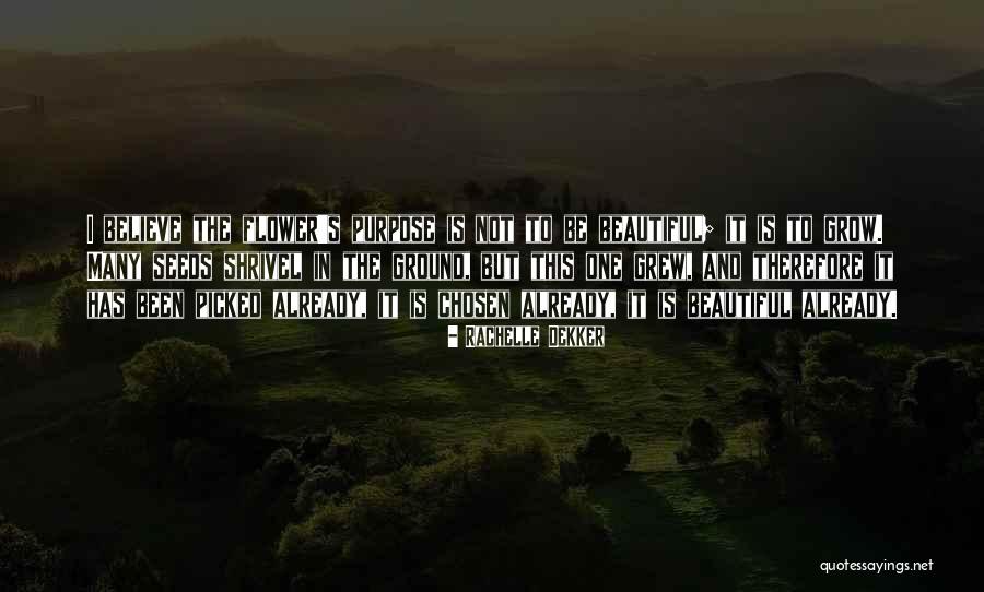 Zogbaum Washington Quotes By Rachelle Dekker Zogbaum Washington Quotes By Rachelle Dekker
