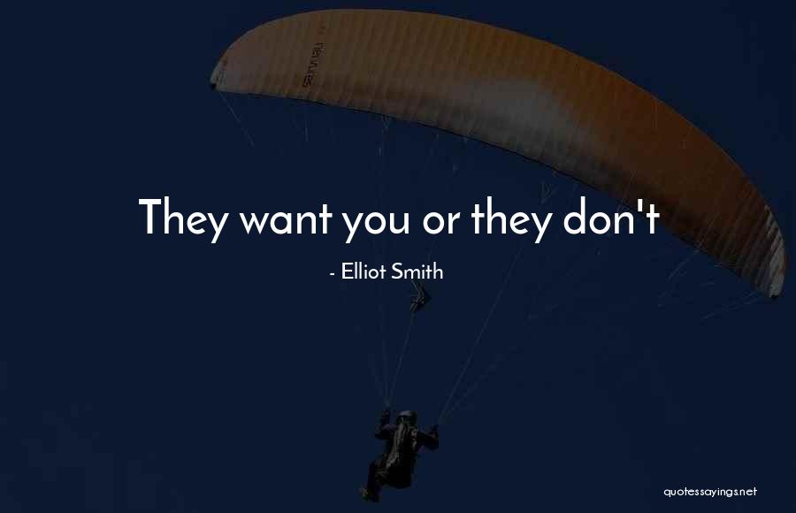 Zohan Teljes Quotes By Elliot Smith Zohan Teljes Quotes By Elliot Smith