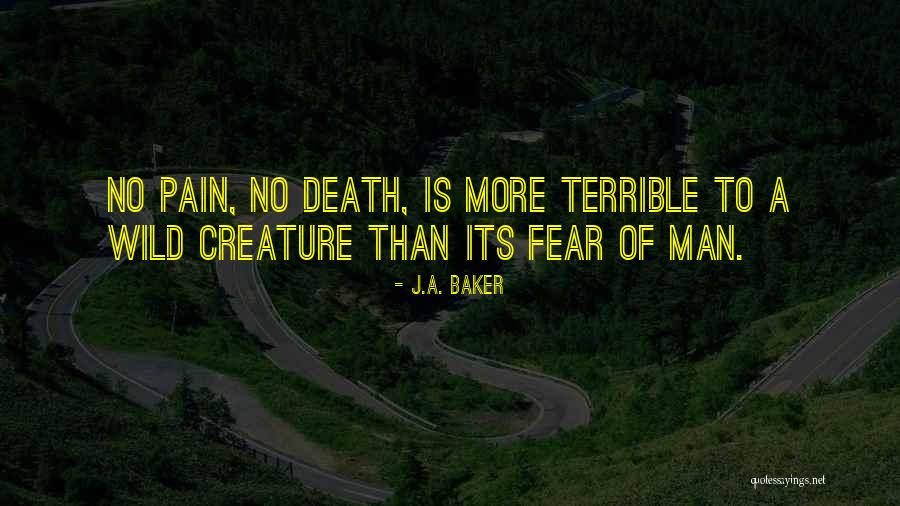 Zoila Garcia Quotes By J.A. Baker Zoila Garcia Quotes By J.A. Baker