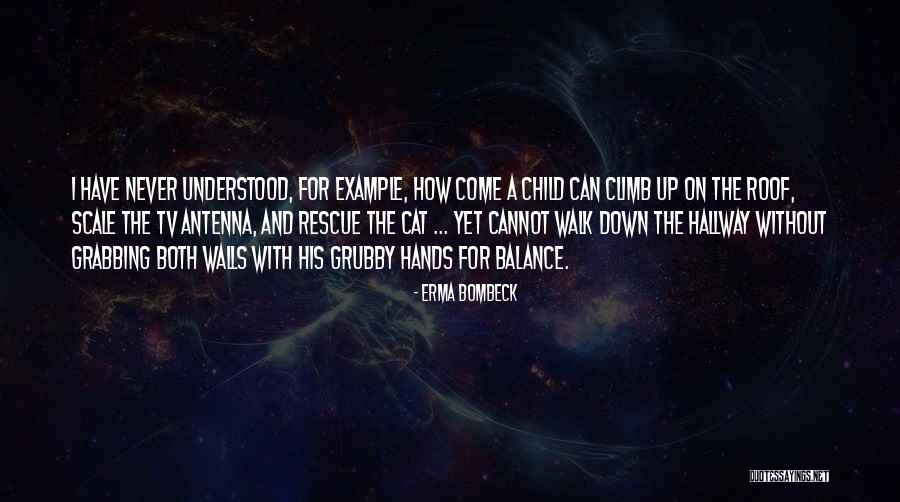 Zoilo Hermogenes Quotes By Erma Bombeck Zoilo Hermogenes Quotes By Erma Bombeck