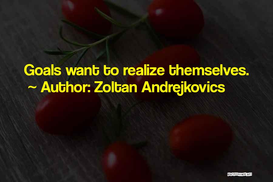 Zoltan Quotes By Zoltan Andrejkovics