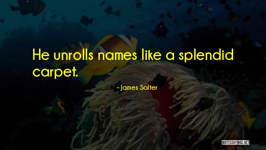 Zoltar Costume Quotes By James Salter Zoltar Costume Quotes By James Salter