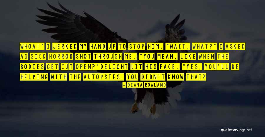 Zombie Like Quotes By Diana Rowland Zombie Like Quotes By Diana Rowland