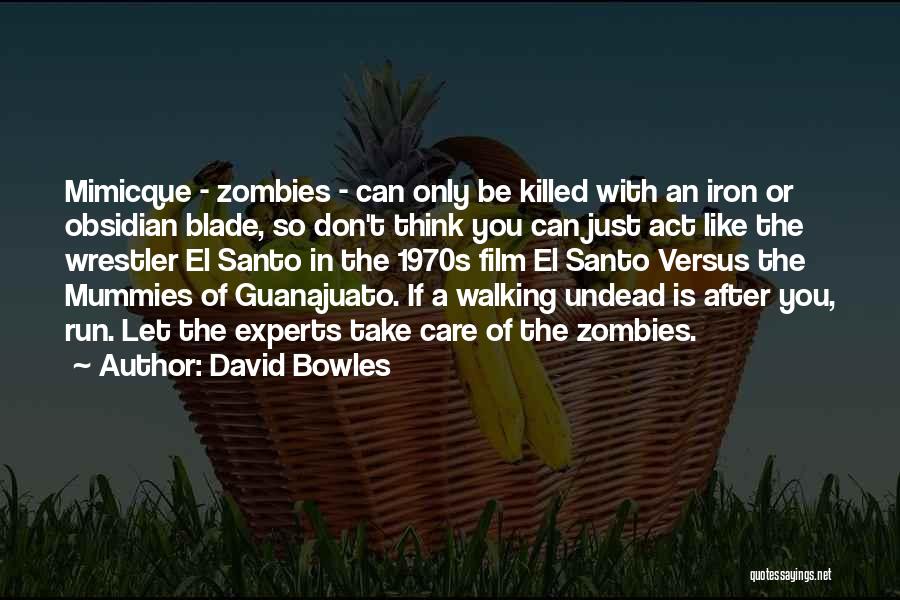 Zombies Run Quotes By David Bowles