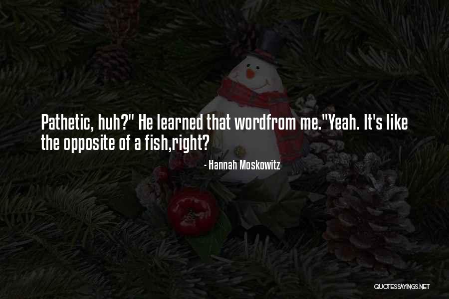 Zonsondergang Belgie Quotes By Hannah Moskowitz Zonsondergang Belgie Quotes By Hannah Moskowitz