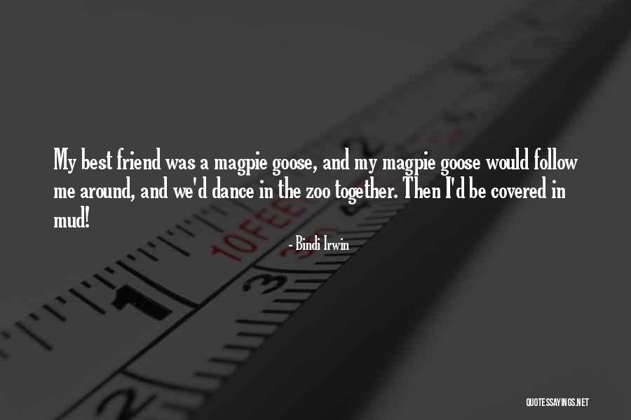 Zoo 2 Quotes By Bindi Irwin Zoo 2 Quotes By Bindi Irwin