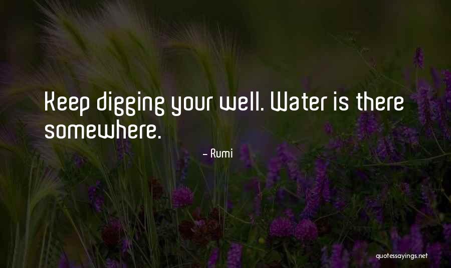 Zoom Support Quotes By Rumi Zoom Support Quotes By Rumi