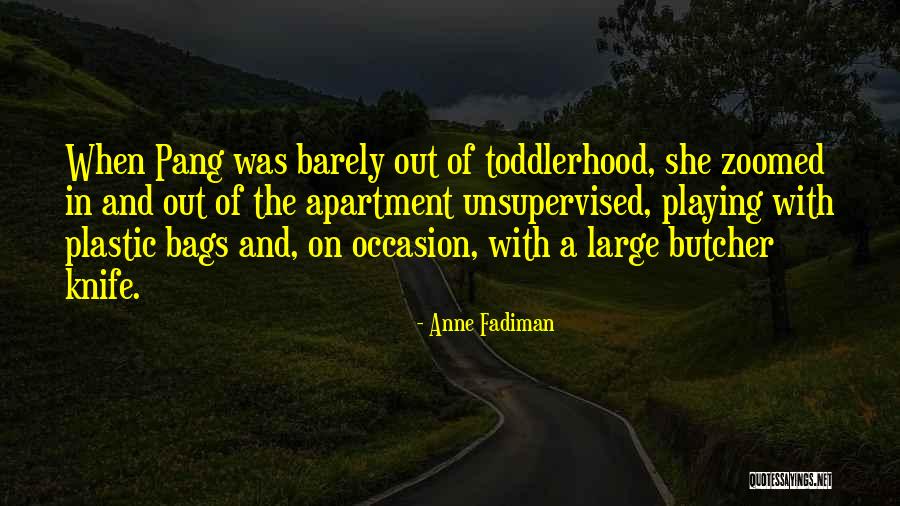 Zoomed Past Quotes By Anne Fadiman Zoomed Past Quotes By Anne Fadiman