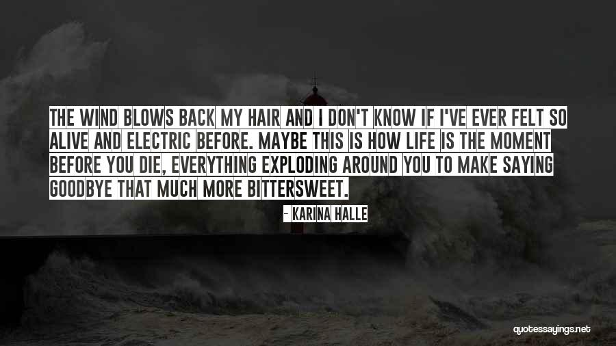 Zoomsphere Quotes By Karina Halle Zoomsphere Quotes By Karina Halle