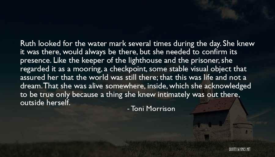 Zorgtechnologie Quotes By Toni Morrison Zorgtechnologie Quotes By Toni Morrison