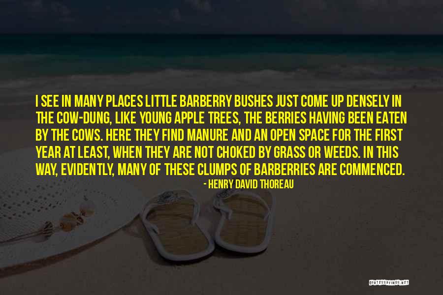 Zorlamak Ingilizce Quotes By Henry David Thoreau Zorlamak Ingilizce Quotes By Henry David Thoreau