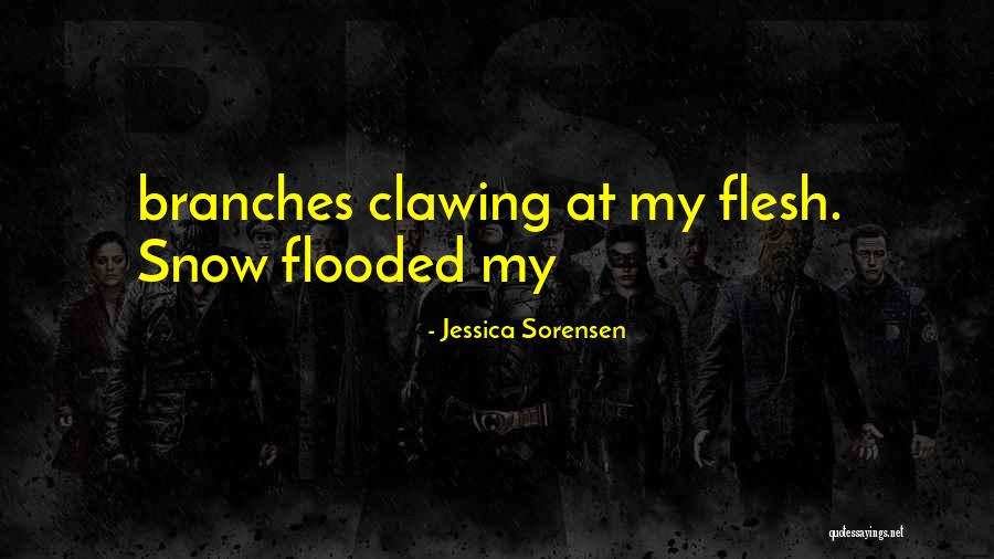 Zotovic Banja Quotes By Jessica Sorensen