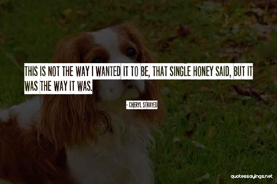 Zouaoui Abdelaziz Quotes By Cheryl Strayed Zouaoui Abdelaziz Quotes By Cheryl Strayed