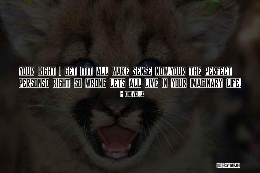 Zouhir Comedian Quotes By Chevelle Zouhir Comedian Quotes By Chevelle