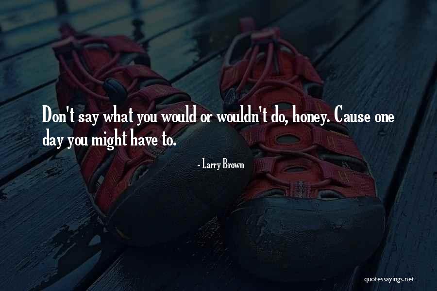 Zouhir Comedian Quotes By Larry Brown