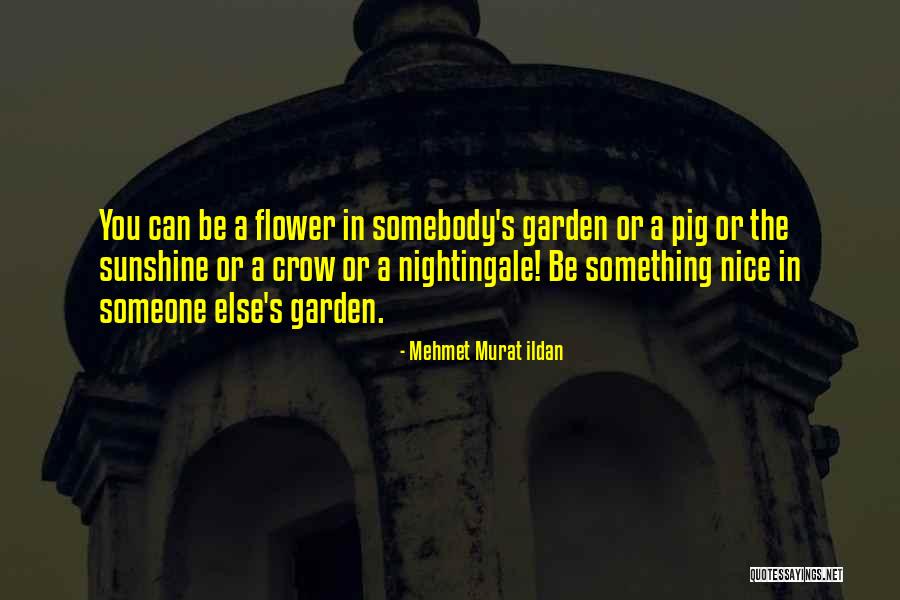 Zouk 2020 Quotes By Mehmet Murat Ildan Zouk 2020 Quotes By Mehmet Murat Ildan