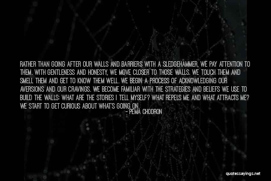 Zouk La Quotes By Pema Chodron