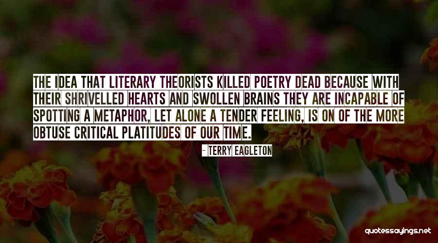 Zr M Te Quotes By Terry Eagleton Zr M Te Quotes By Terry Eagleton