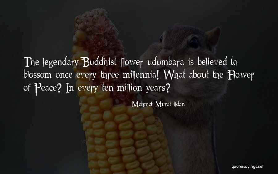 Zschocher Quotes By Mehmet Murat Ildan