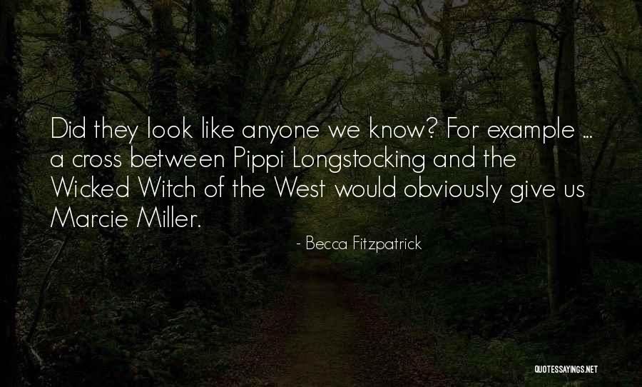 Zsolt N V Quotes By Becca Fitzpatrick Zsolt N V Quotes By Becca Fitzpatrick