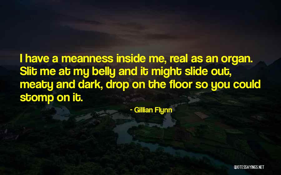 Zuccarini Watershot Quotes By Gillian Flynn Zuccarini Watershot Quotes By Gillian Flynn
