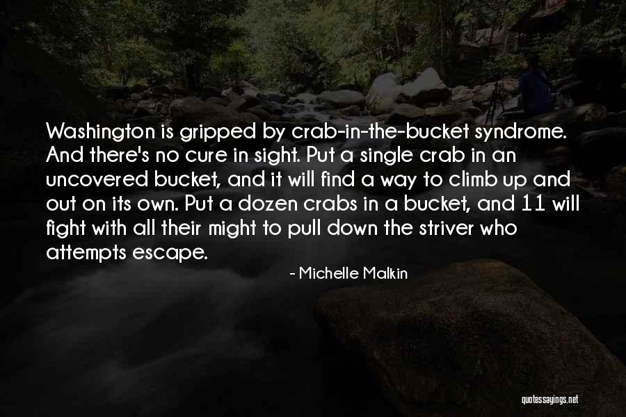 Zuccolo Friuli Quotes By Michelle Malkin Zuccolo Friuli Quotes By Michelle Malkin