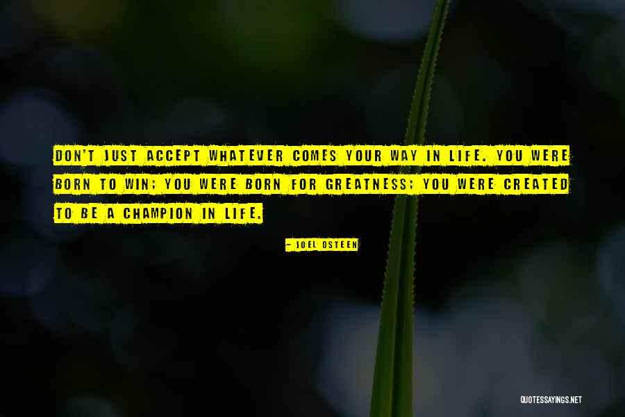 Zuccolotto Construction Quotes By Joel Osteen Zuccolotto Construction Quotes By Joel Osteen